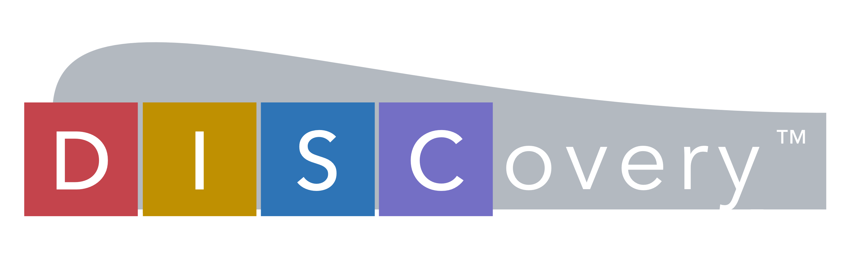 DISCovery Logo 2023