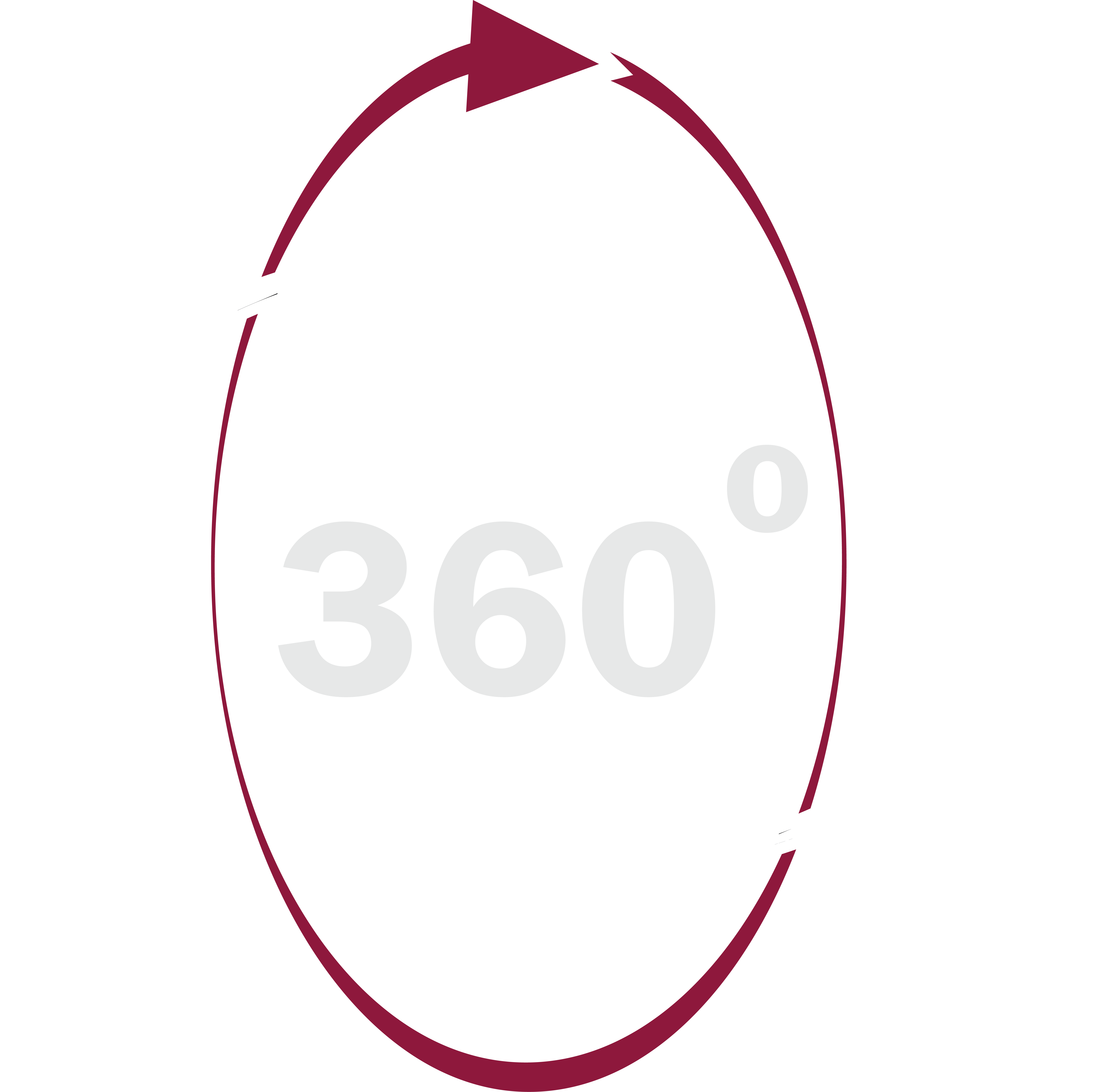 360 icon